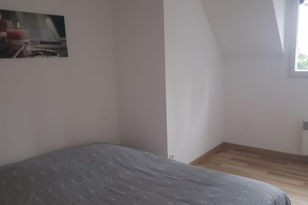 Logement Plein Centre De Plerin A Proximite Des Plages Et Des Commerces Exterior photo